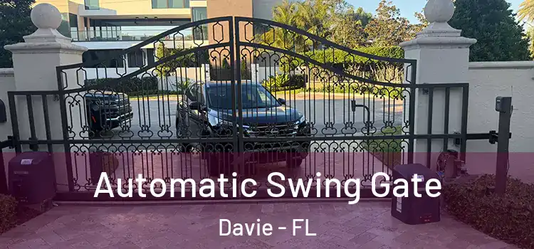  Automatic Swing Gate Davie - FL