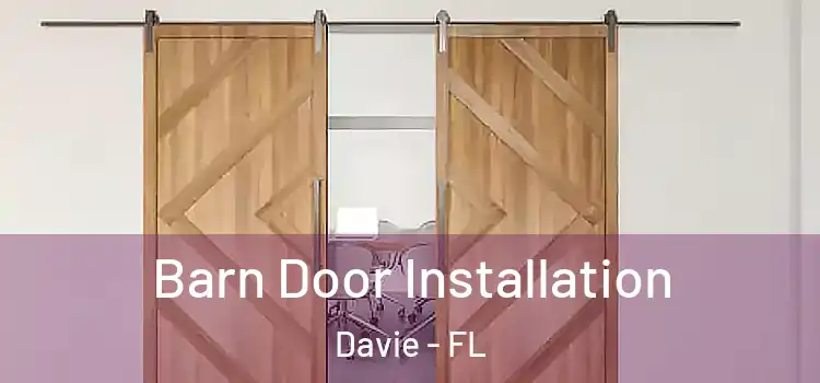  Barn Door Installation Davie - FL