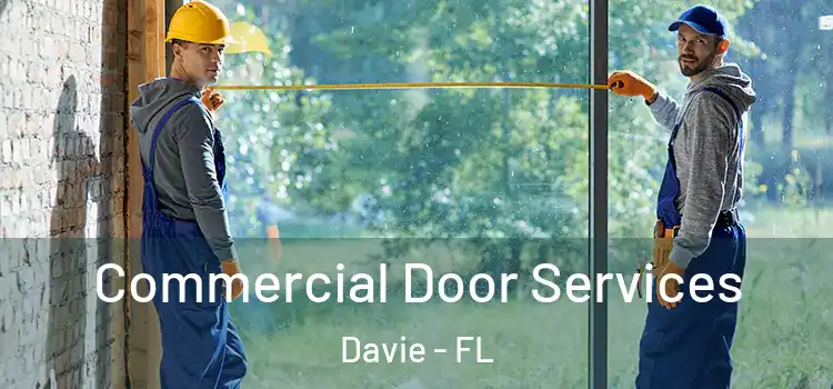 Commercial Door Services Davie - FL