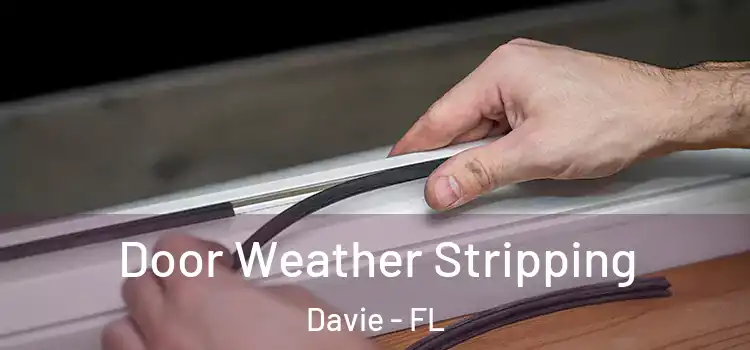 Door Weather Stripping Davie - FL
