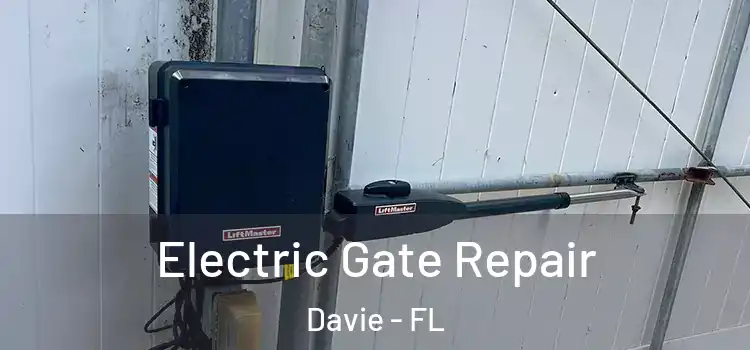 Electric Gate Repair Davie - FL