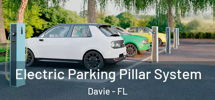 Electric Parking Pillar System Davie - FL
