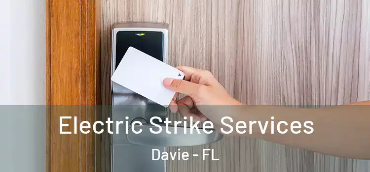  Electric Strike Services Davie - FL