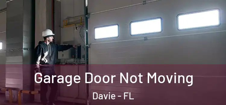  Garage Door Not Moving Davie - FL