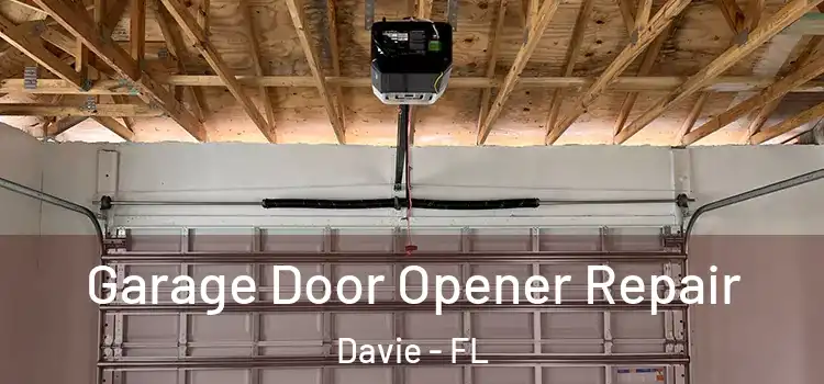  Garage Door Opener Repair Davie - FL