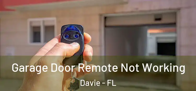  Garage Door Remote Not Working Davie - FL