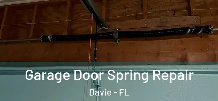  Garage Door Spring Repair Davie - FL