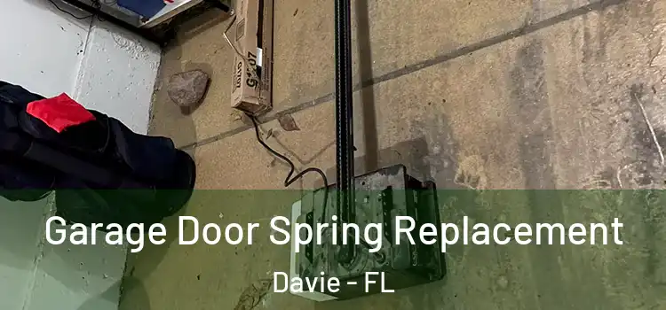  Garage Door Spring Replacement Davie - FL