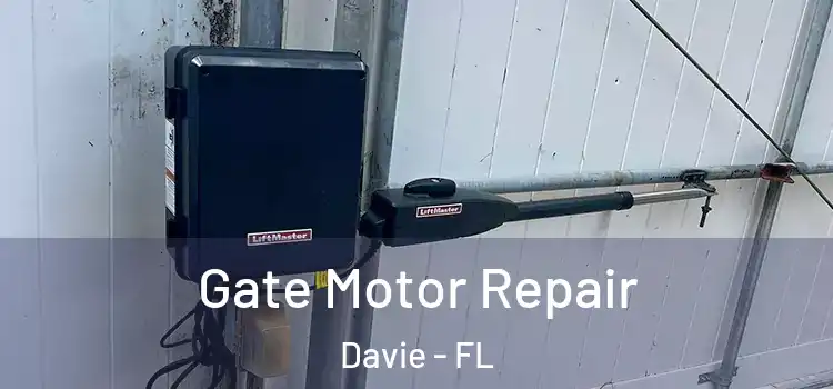  Gate Motor Repair Davie - FL