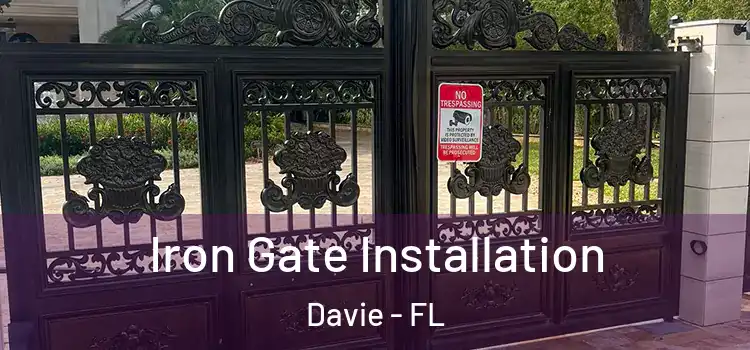 Iron Gate Installation Davie - FL