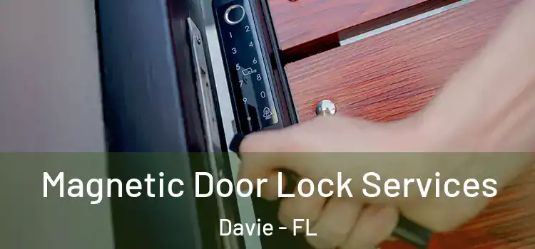 Magnetic Door Lock Services Davie - FL