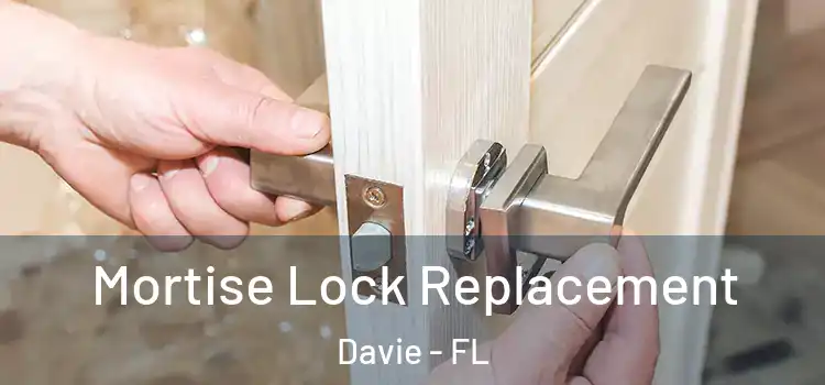 Mortise Lock Replacement Davie - FL