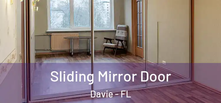  Sliding Mirror Door Davie - FL