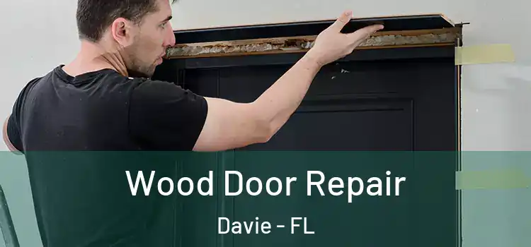 Wood Door Repair Davie - FL