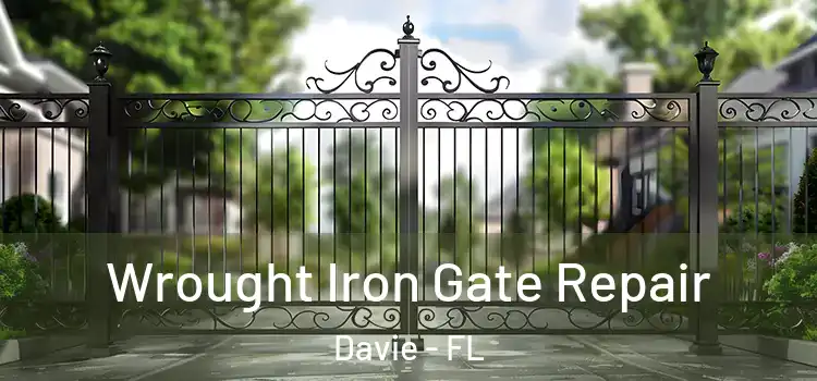 Wrought Iron Gate Repair Davie - FL